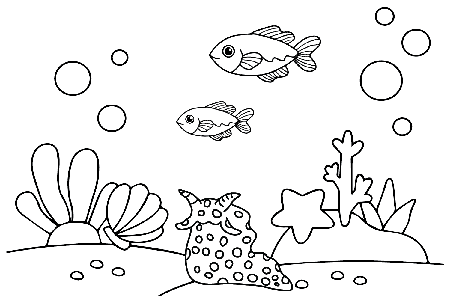 海蛞蝓和海蛞蝓的鱼