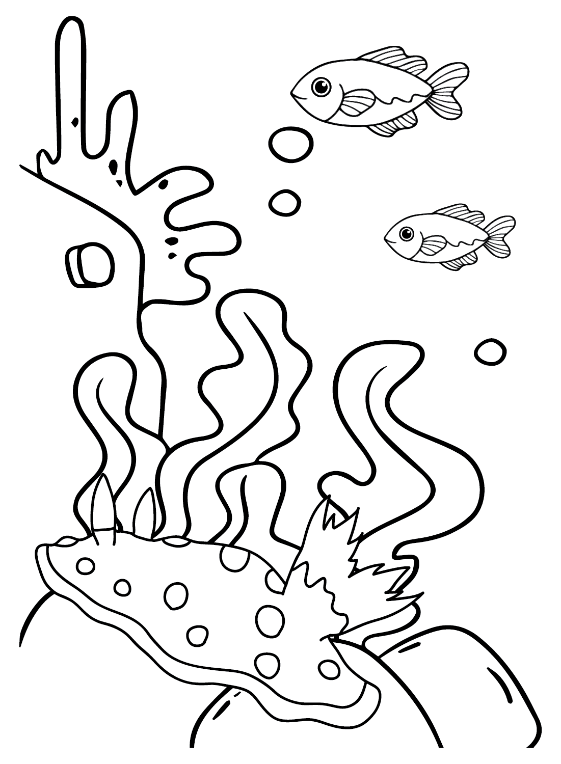 Sea Slug color Sheets from Sea Slug