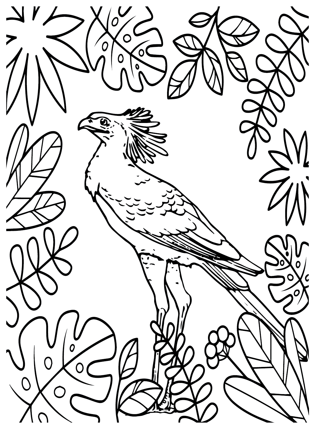 Secretarybird to Color - Free Printable Coloring Pages