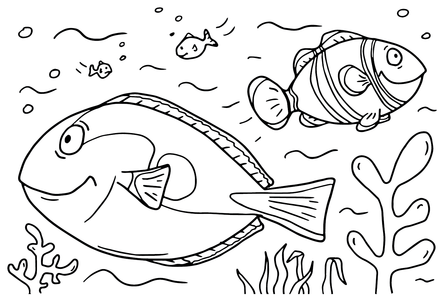 أسماك تانغ وسمكة المهرج من أسماك تانغ