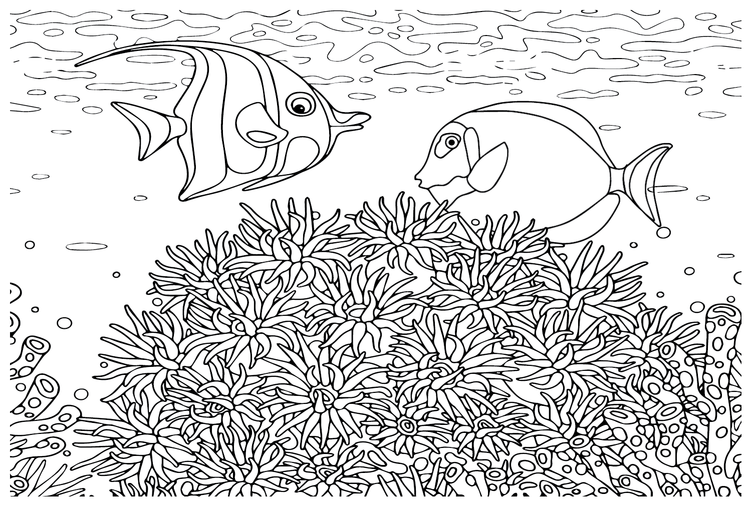 唐鱼和唐鱼的锦旗珊瑚鱼