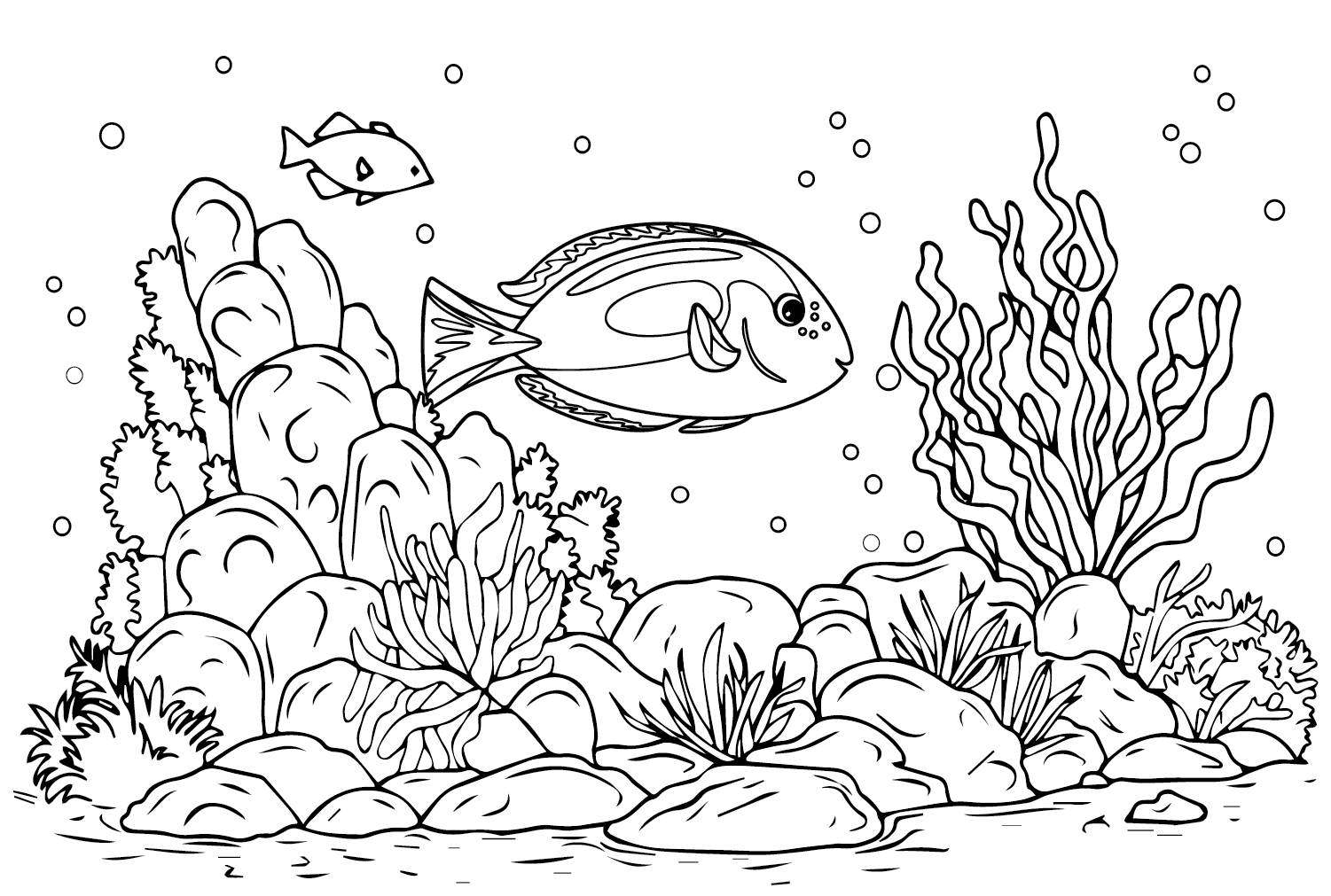 Tang Fish for Kids Coloring Page - Free Printable Coloring Pages