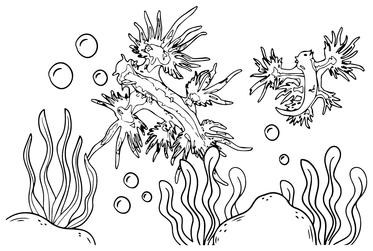 De blauwe zeeslak van Sea Slug