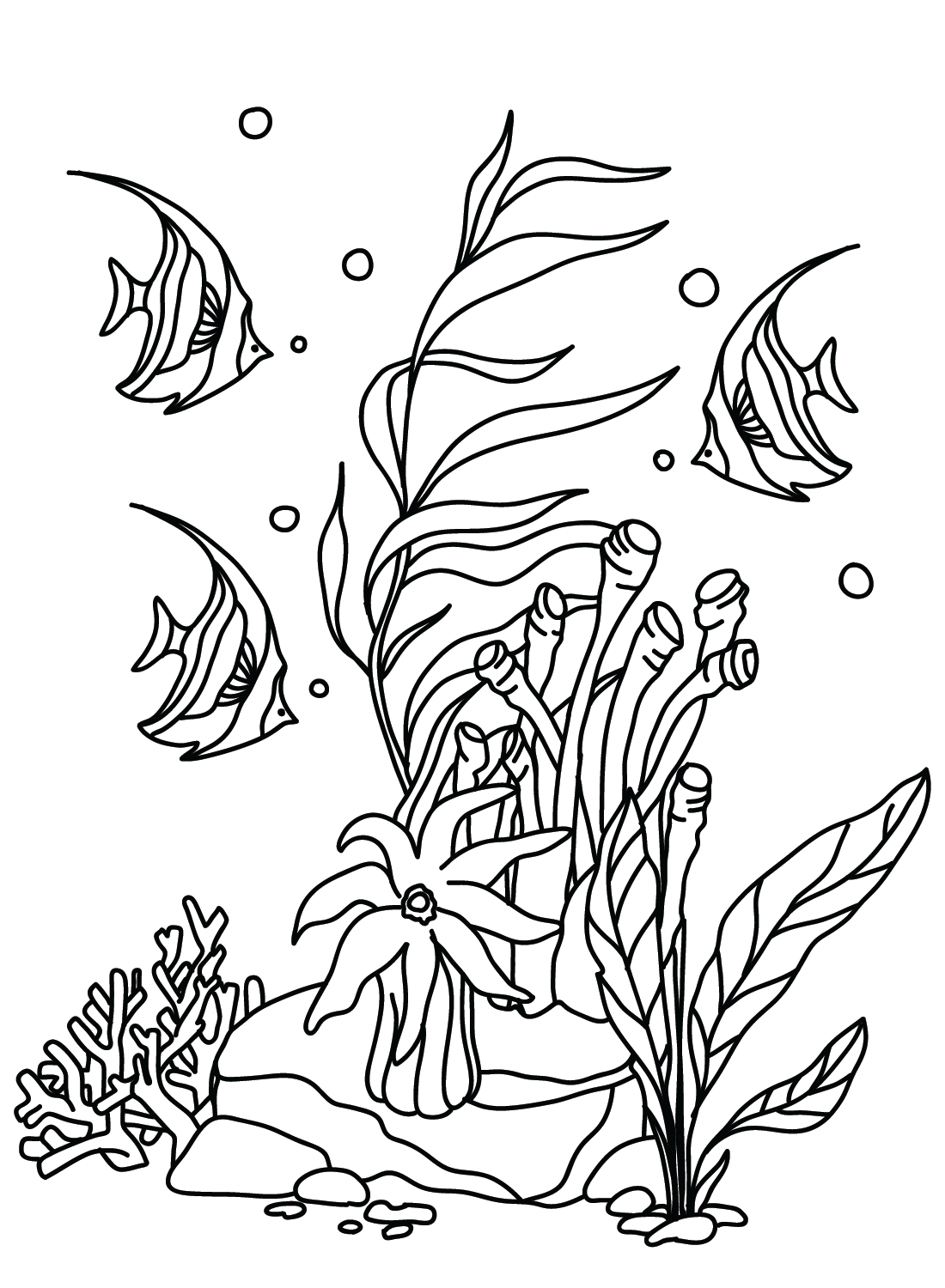 Der Pennant Coralfish von Pennant Coralfish