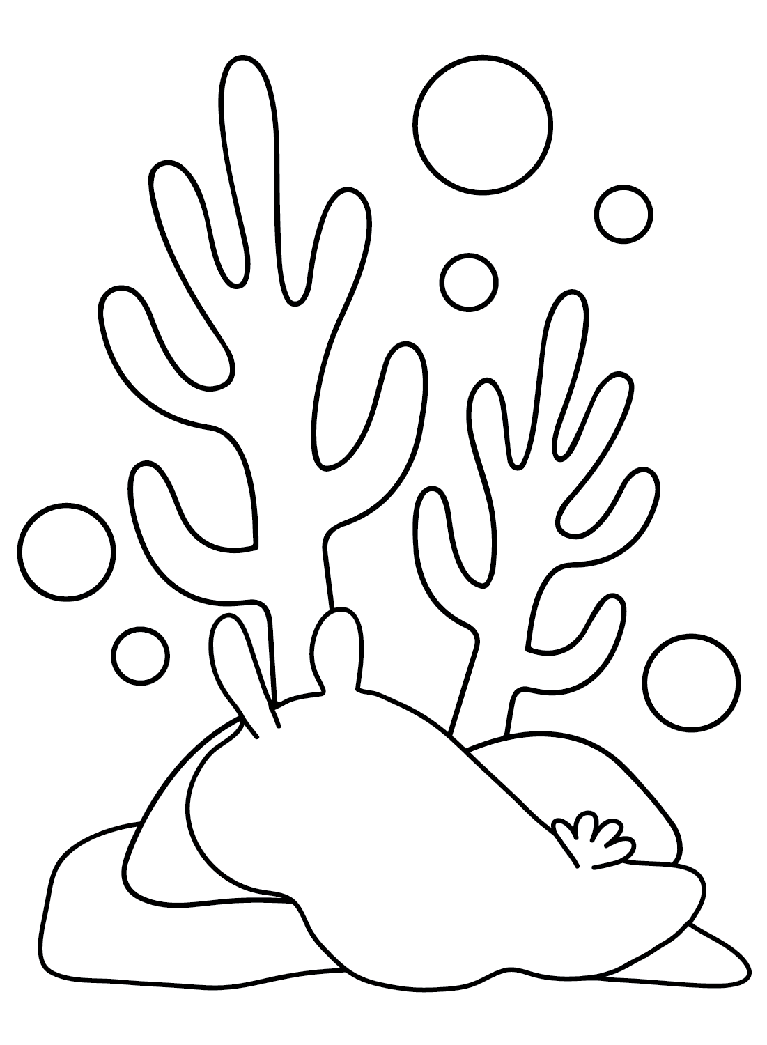 The Sea Slug Coloring Pages