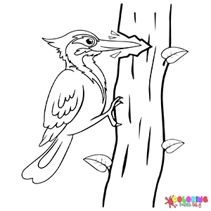 Woodpecker Coloring Pages