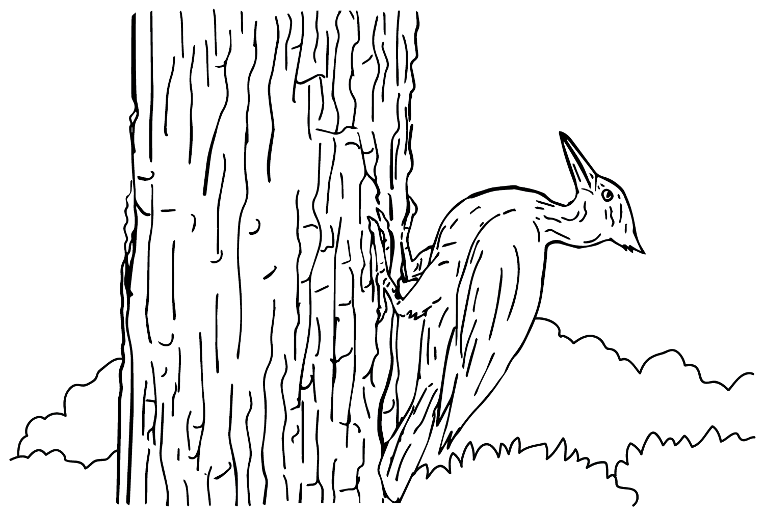 Página para colorir para impressão do Woody Woodpecker do Woodpecker