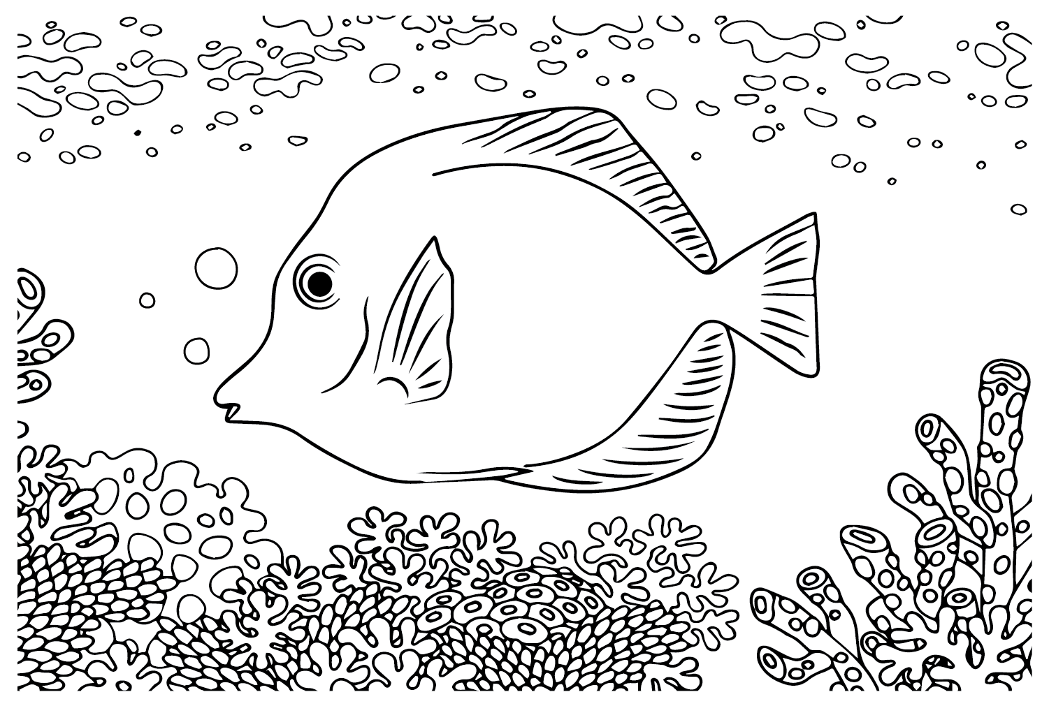 سمك تانج أصفر من أسماك تانج