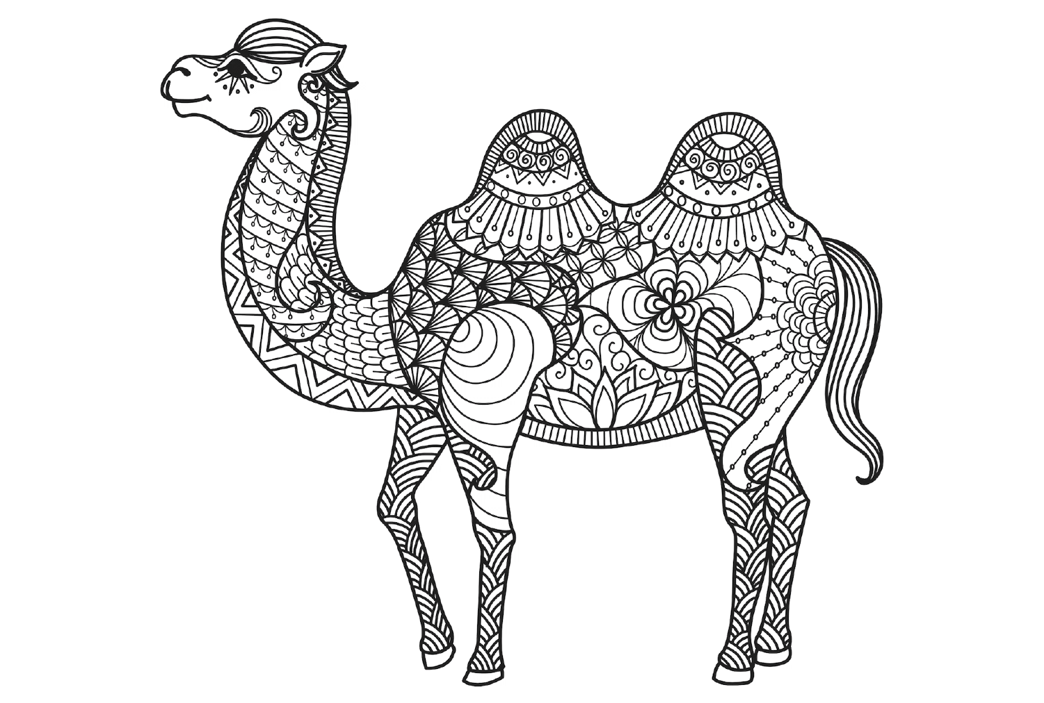 Zentangle Camel Coloring Page