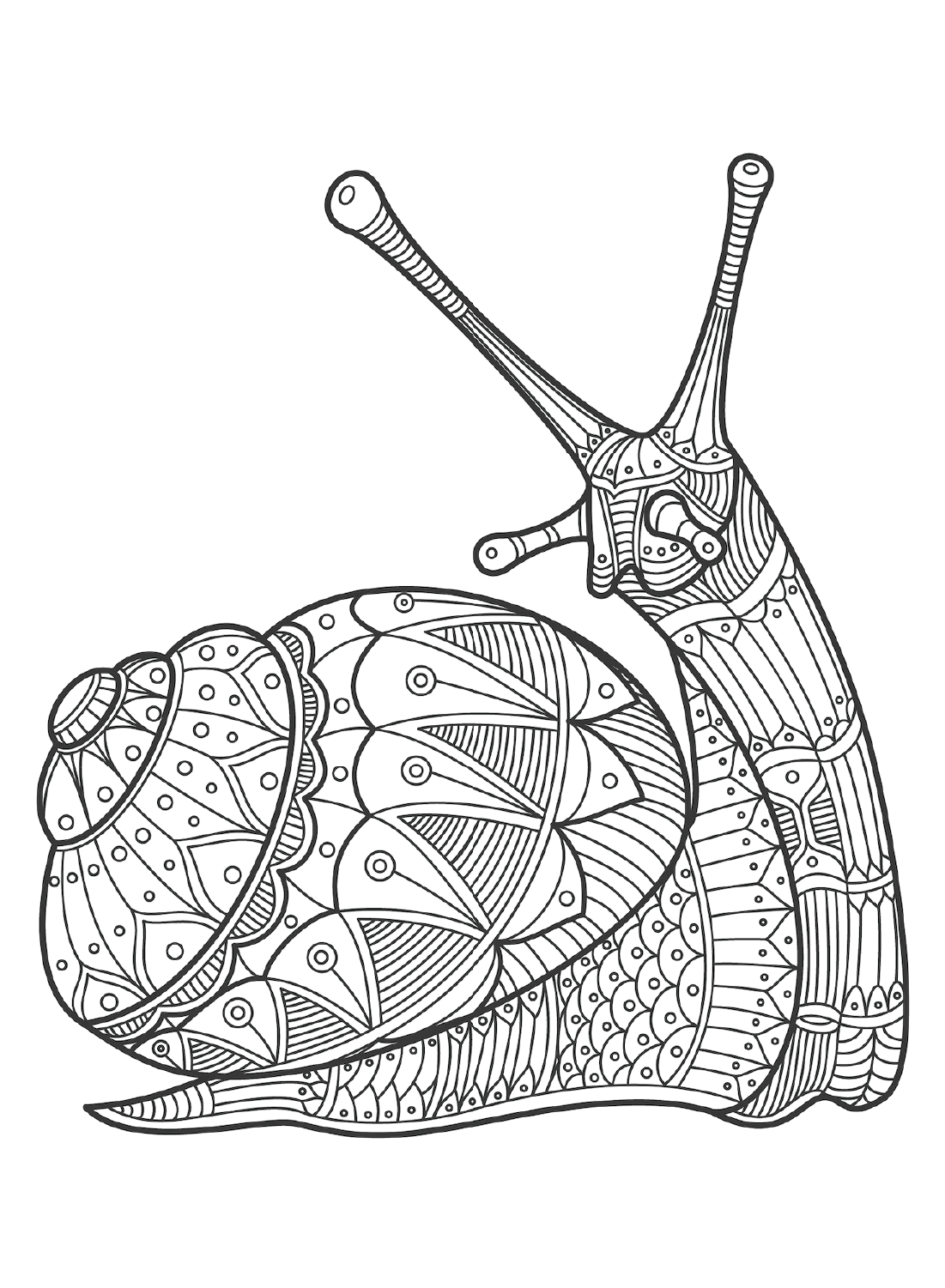 Zentangle Snail Coloring Pages