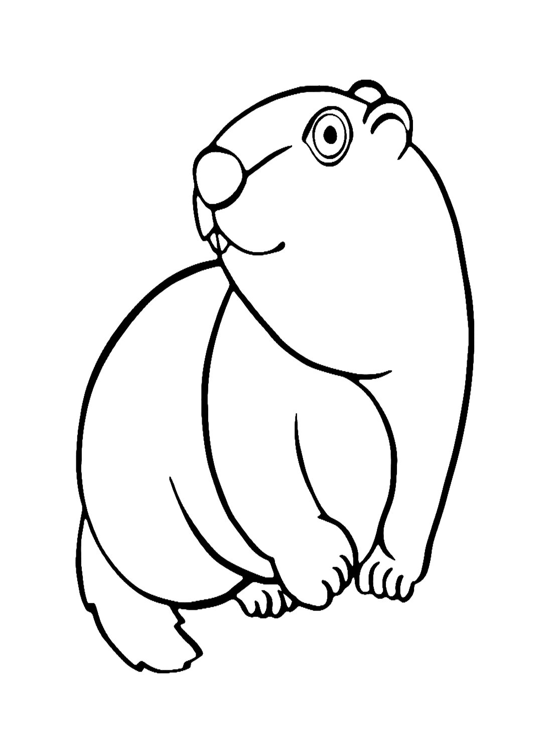 Letter M For Marmot Coloring Page - Free Printable Coloring Pages