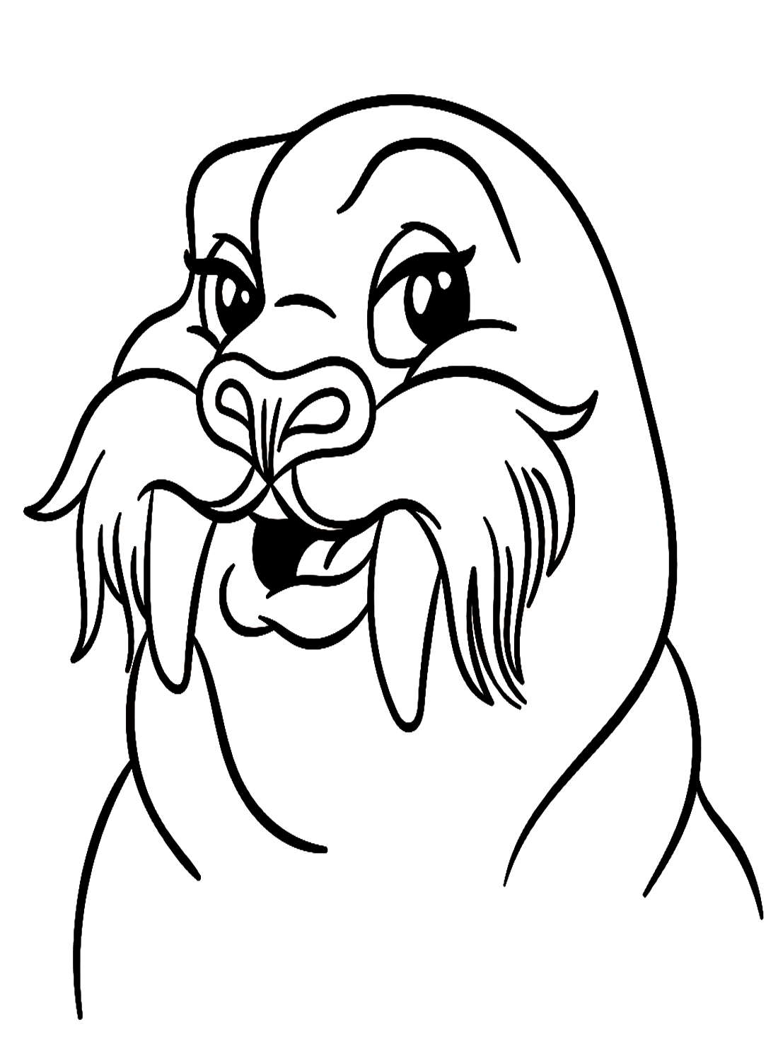 Adorable Walrus Face from Walrus