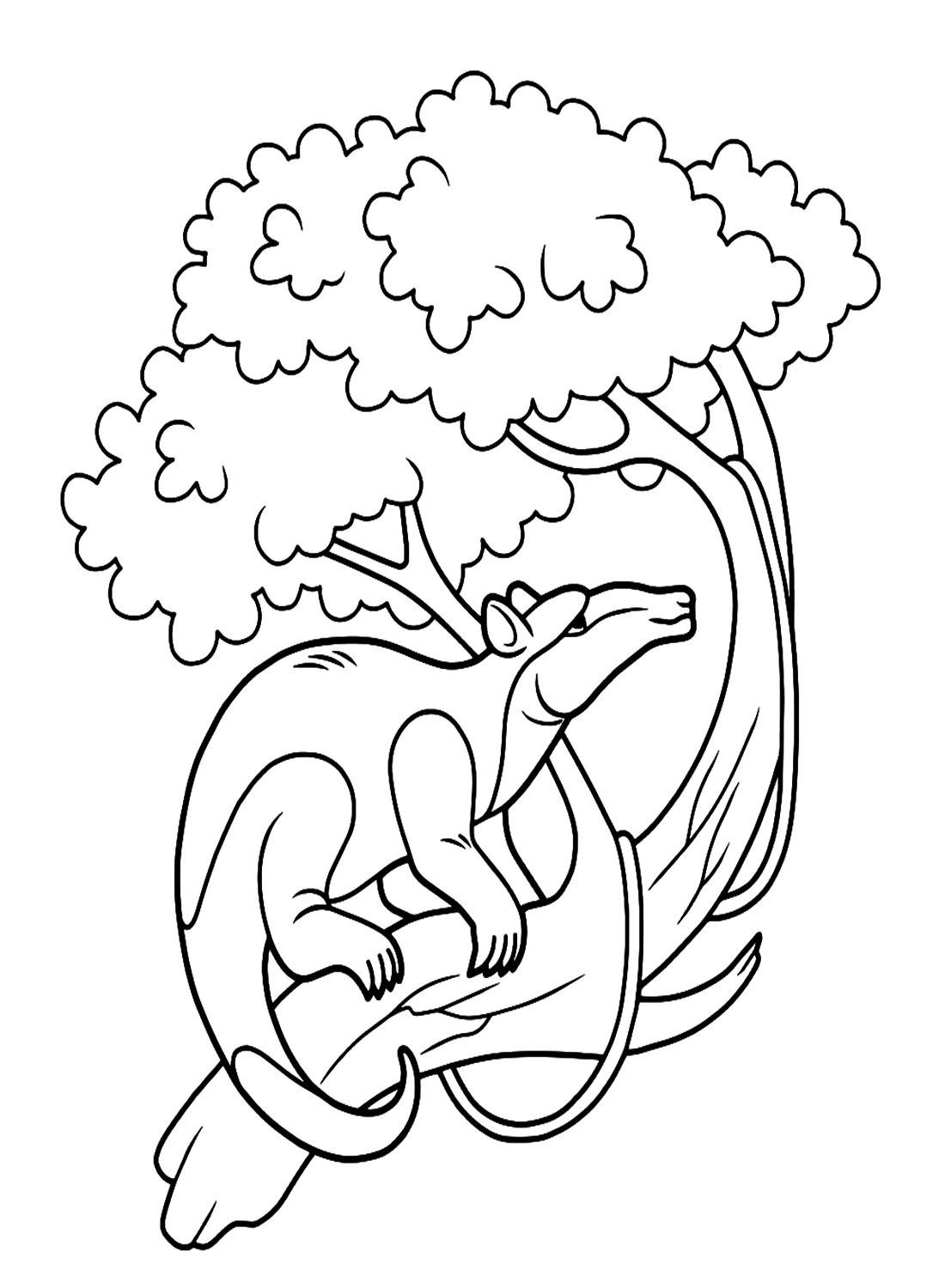 Oso hormiguero sentado en un árbol de Oso hormiguero