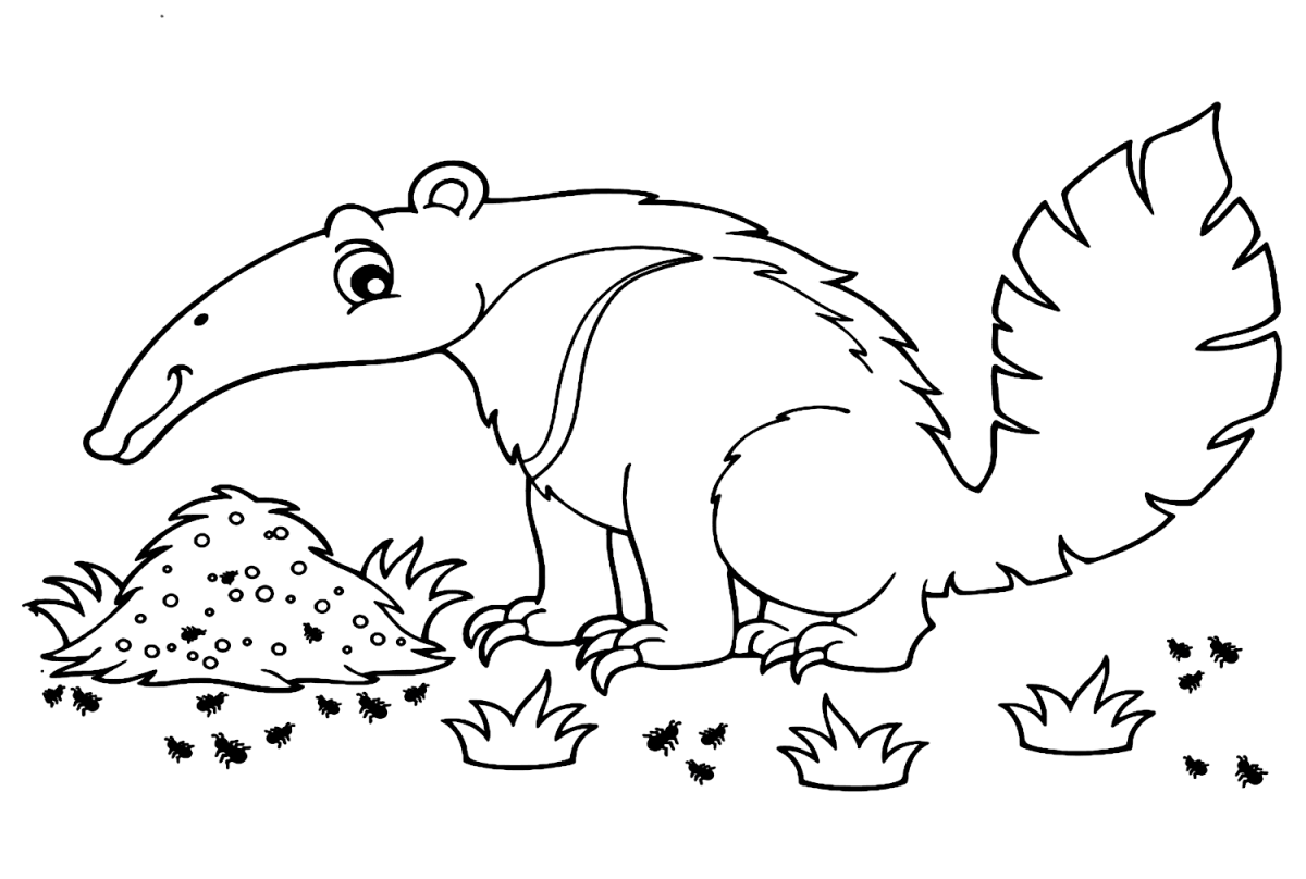 Malvorlagen Ameisenbär – Malvorlagen für Kinder und Erwachsene
