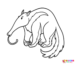 Anteater Coloring Pages