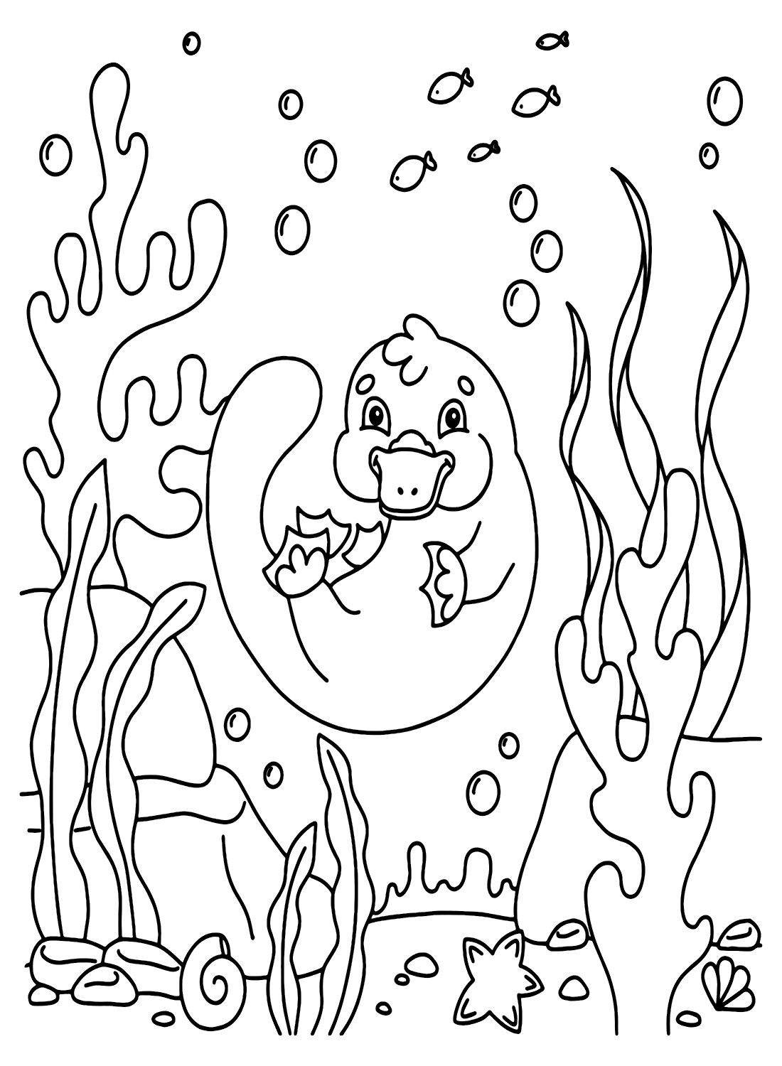 Милый утконос, плавающий от утконоса