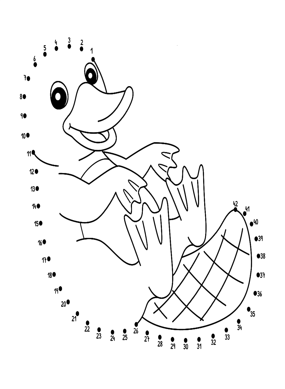 Punkt-zu-Punkt-Schnabeltier von Platypus