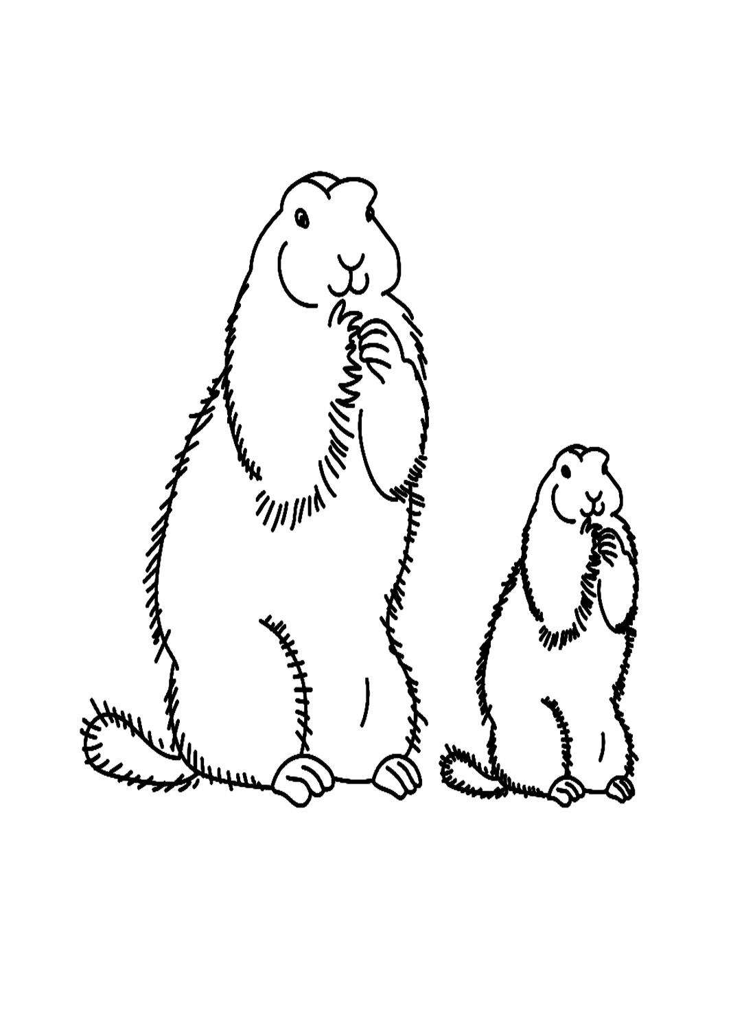 Murmeltierfamilie von Marmot