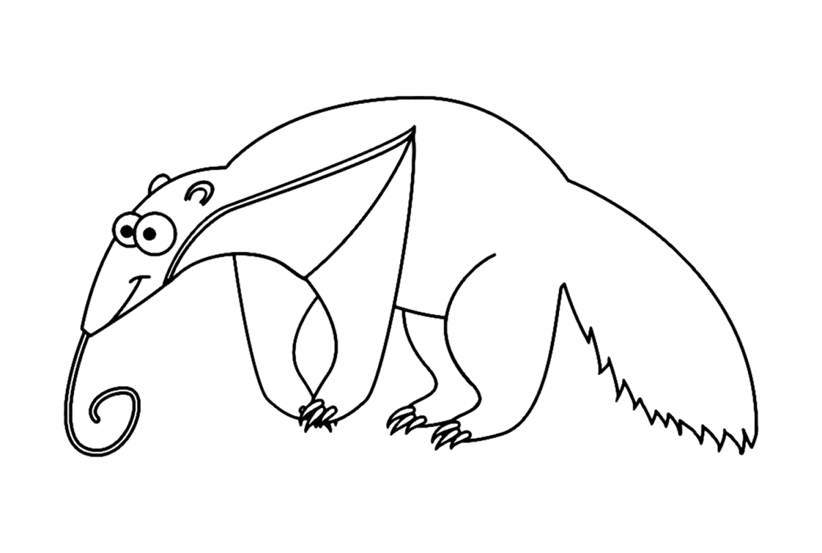 25 Free Printable Anteater Coloring Pages