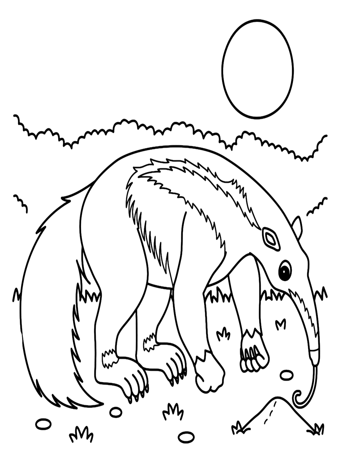 Oso hormiguero gigante sobre la hierba de Anteater