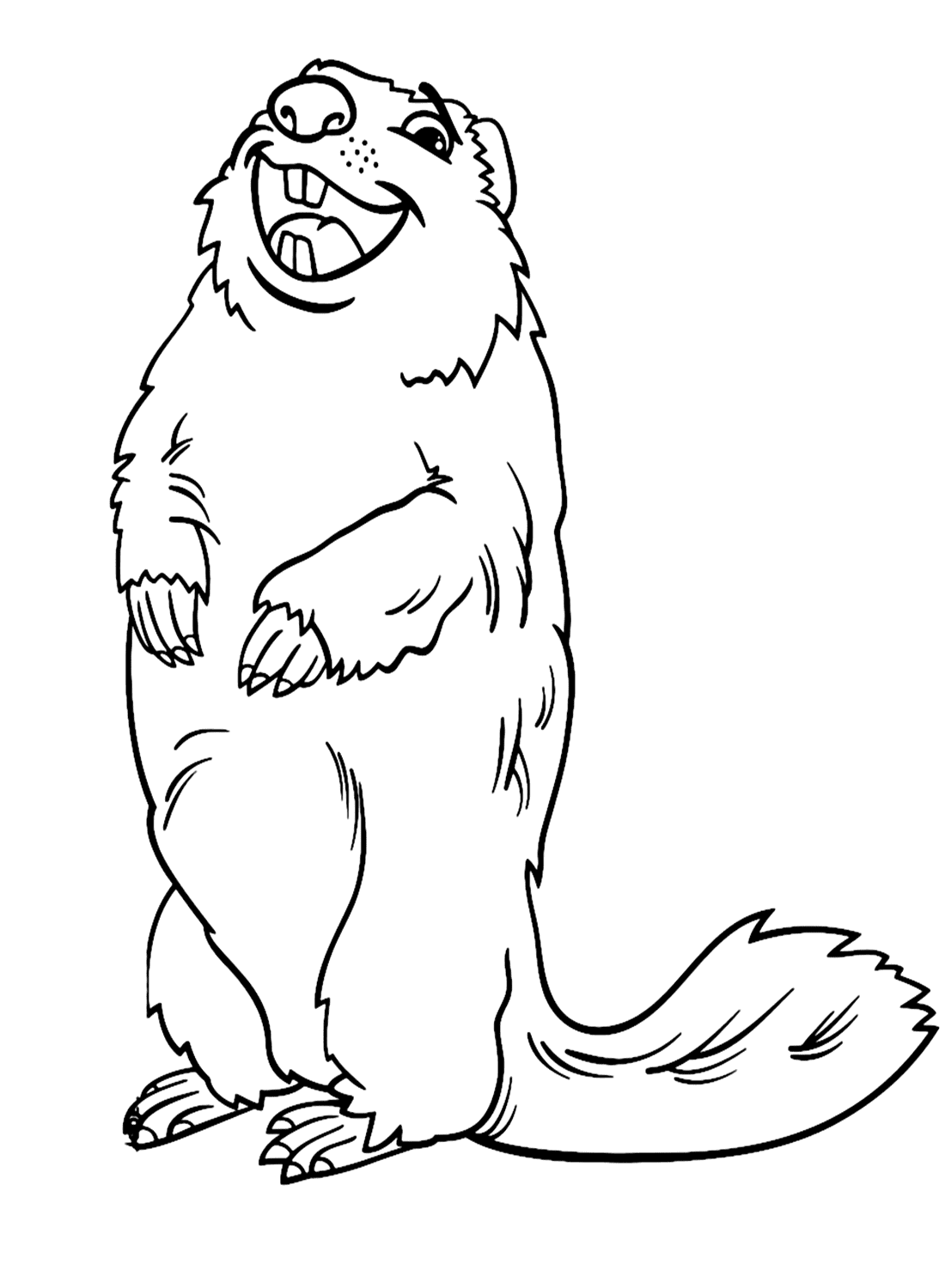 Glückliches Marmot von Marmot