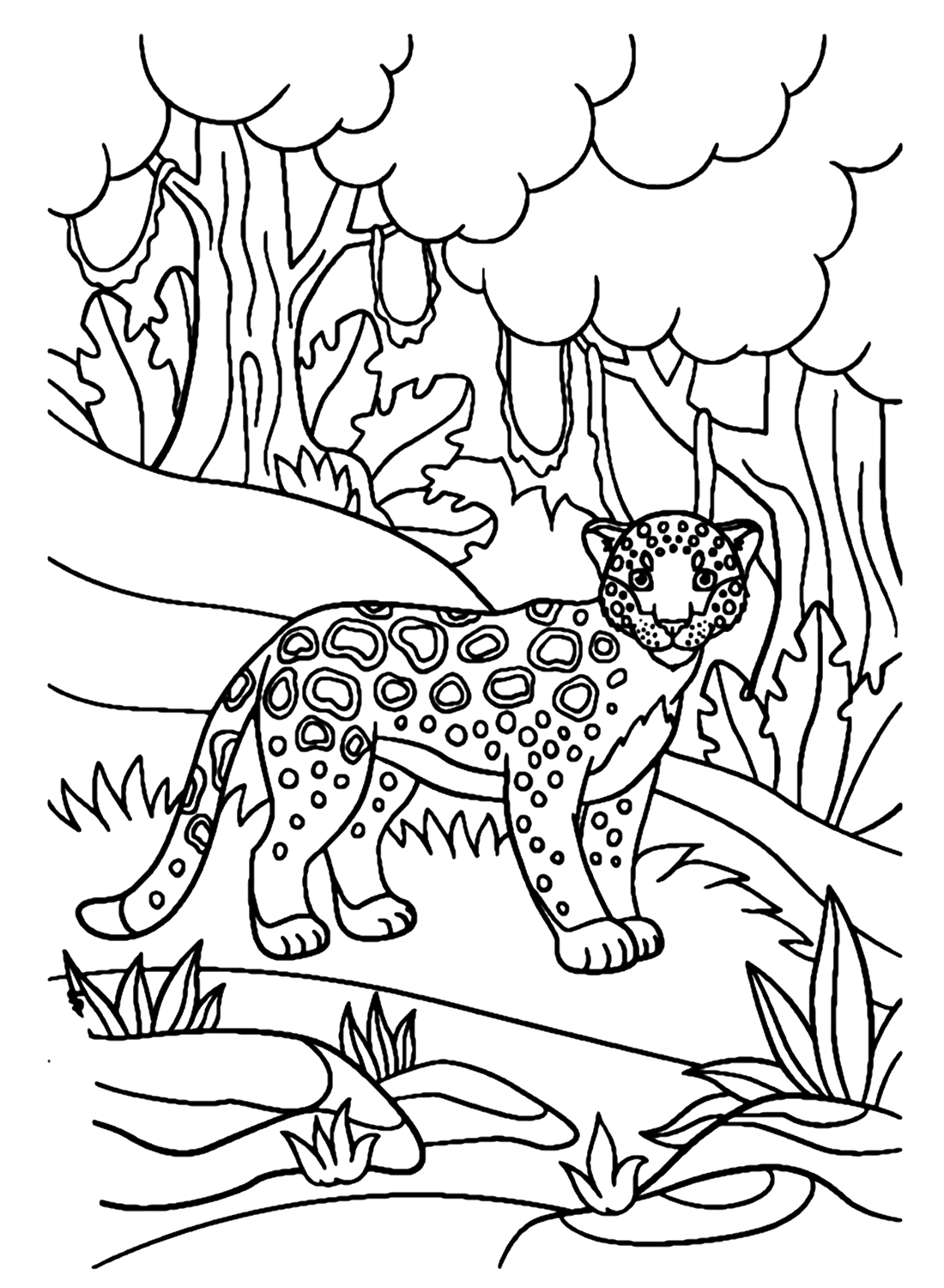 Ягуар гуляет по лесу из Jaguar