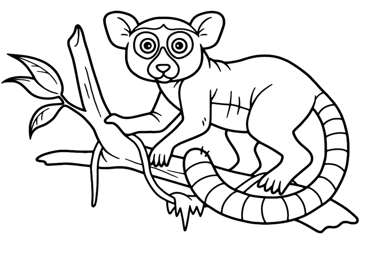 Lemur In A Tree Coloring Page - Free Printable Coloring Pages