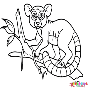 Lemur Coloring Pages