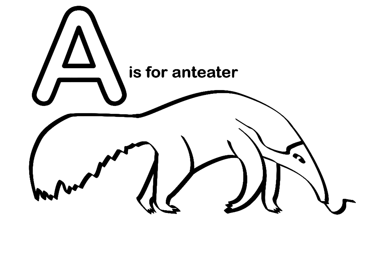 25 Free Printable Anteater Coloring Pages