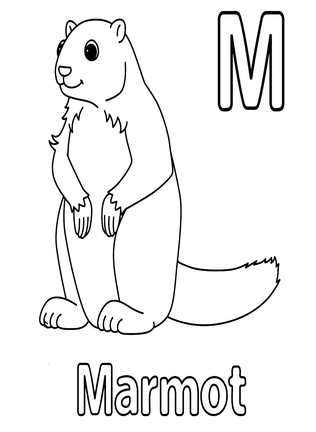 Letter M voor marmot van marmot