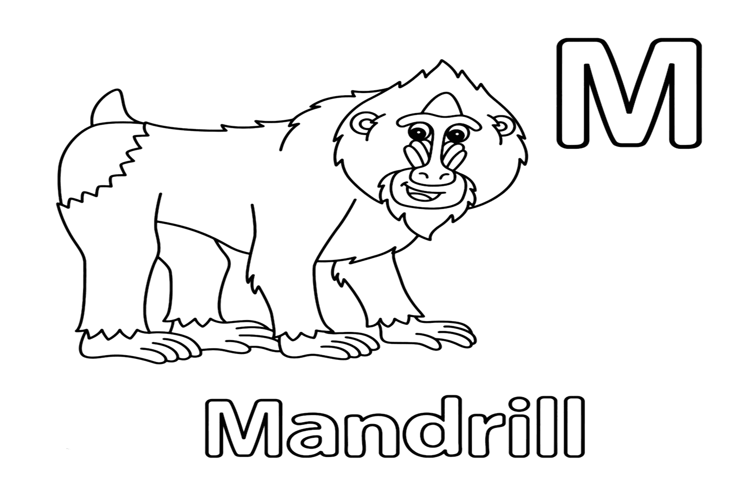 Letra M para Mandrill de Mandrill