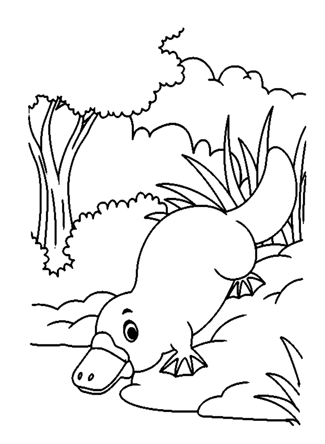 Mooie cartoonvogelbekdier van Platypus