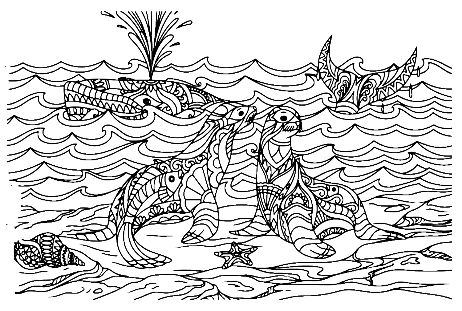 Mandala Lion de Mer et Baleine de Sea Lion