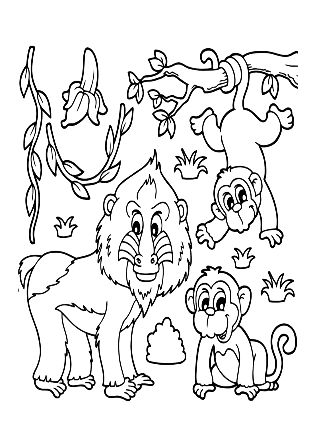 الماندريل والقرود الصغيرة من الماندريل