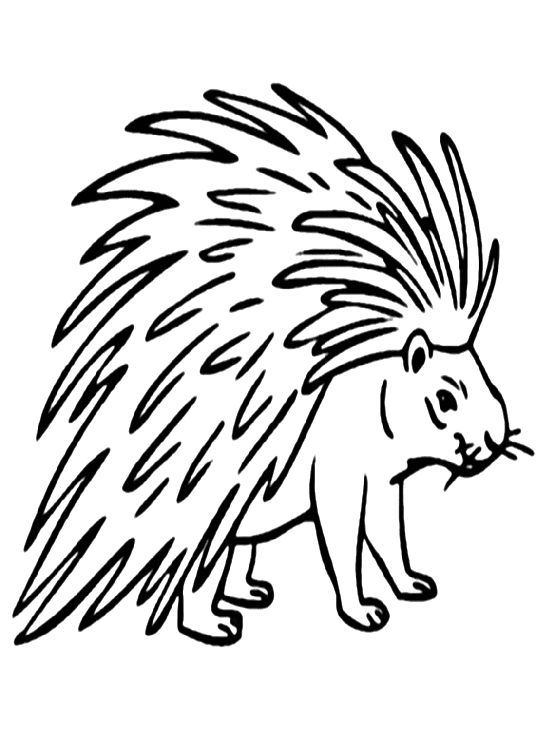Imagen de puercoespín para colorear de Porcupine