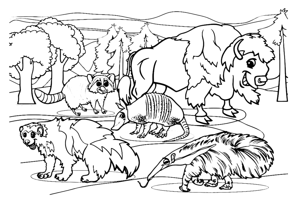 Raccoon Coloring Pages - Free Printable Coloring Pages