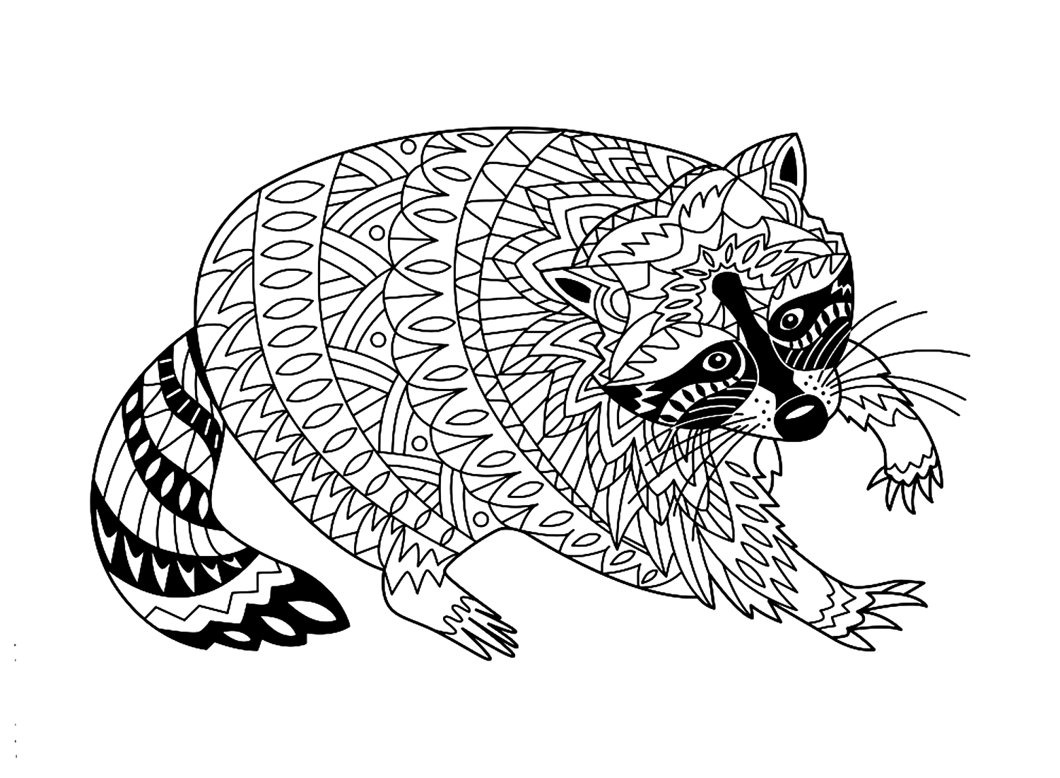 Raccoon In Zentangle Style Coloring Pages