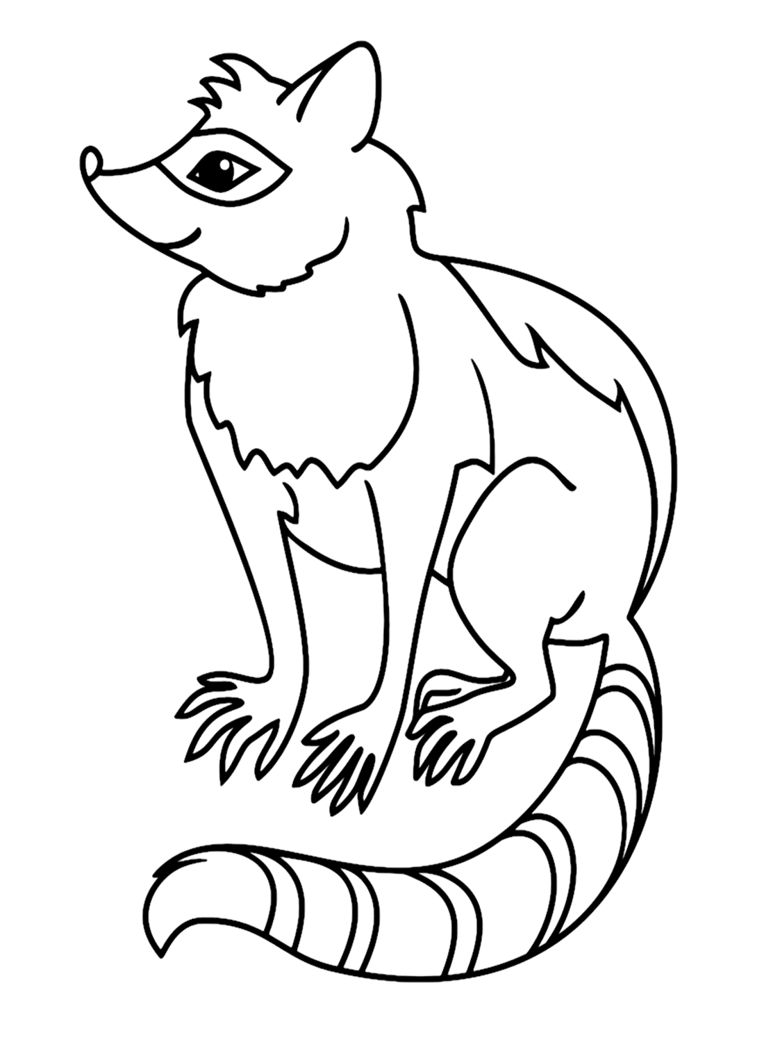 Raccoon Outline Coloring Page - Free Printable Coloring Pages