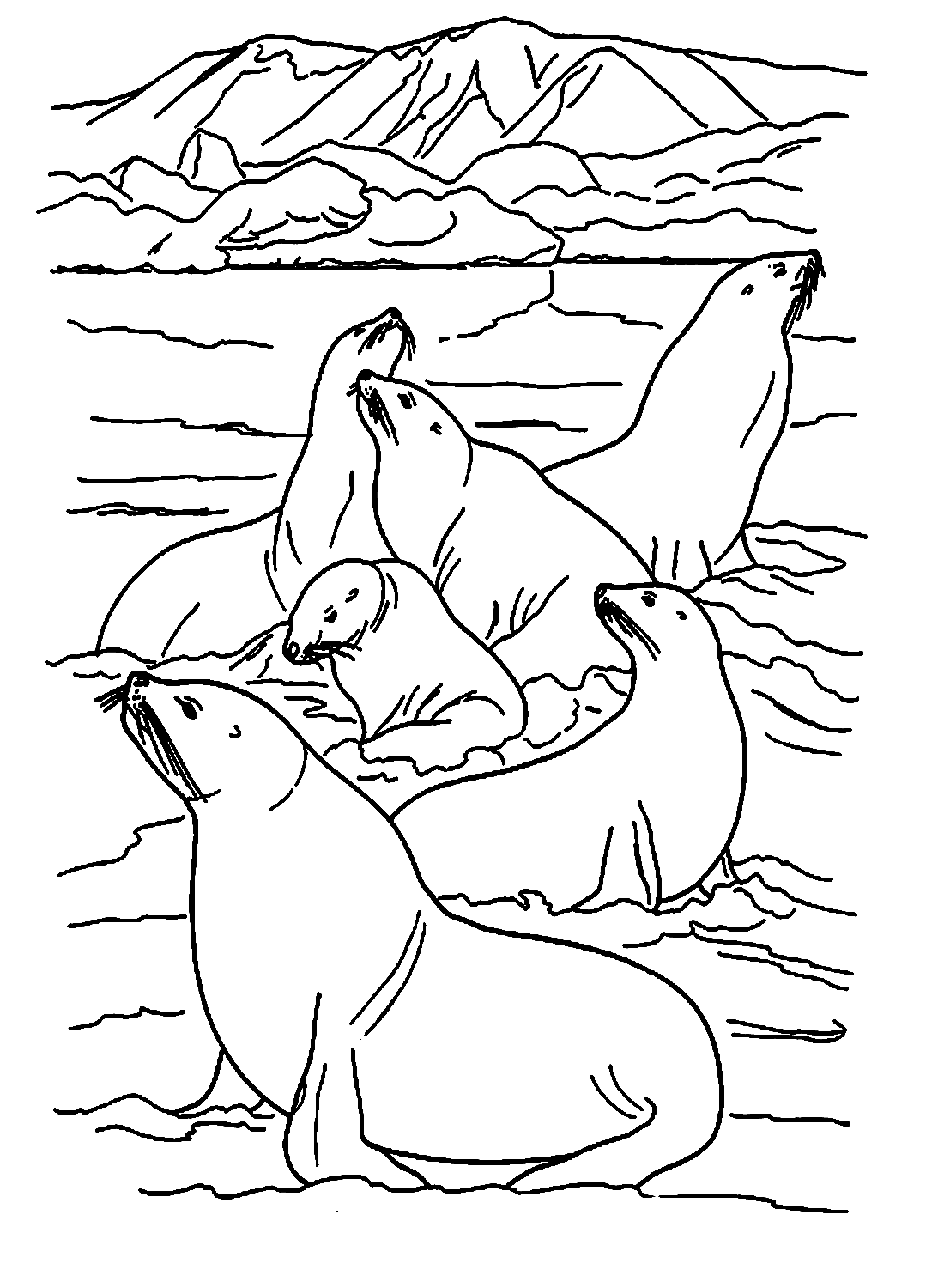 Radeau d'otaries de Sea Lion