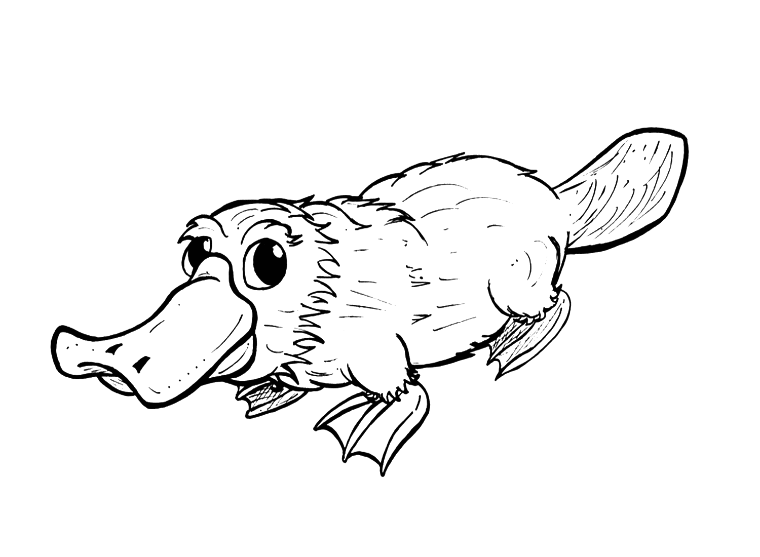 Realistisch Vogelbekdier van Platypus