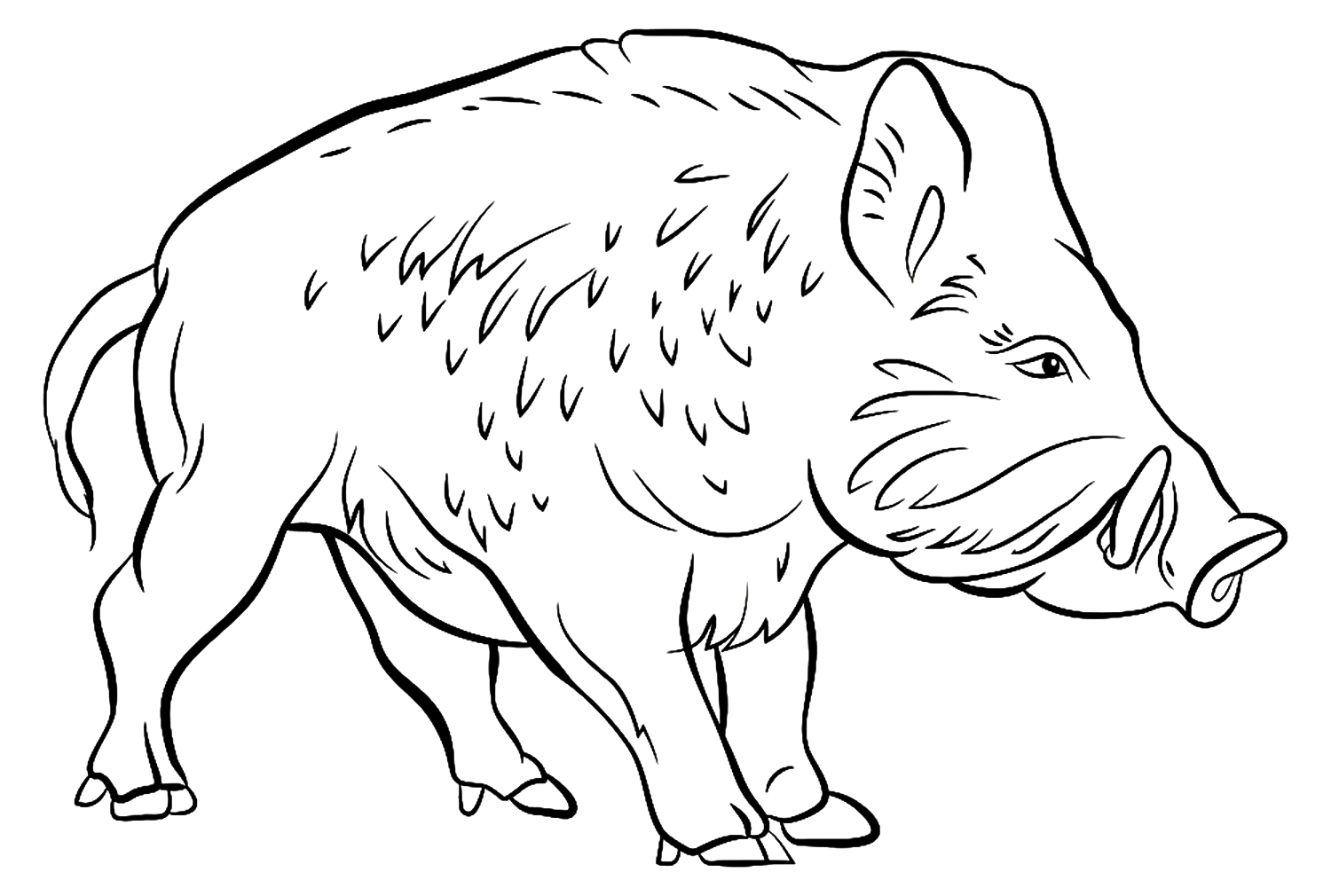 Realistisches Wildschwein von Boar