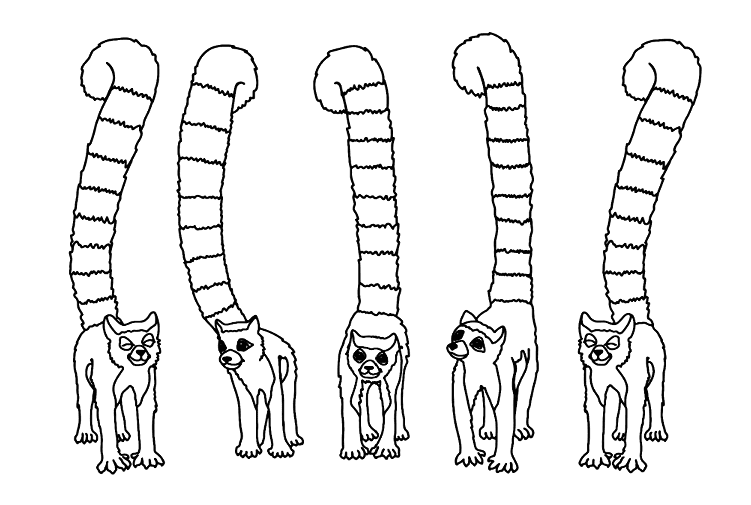Página para colorear de lémur vectorial PDF de Lemur