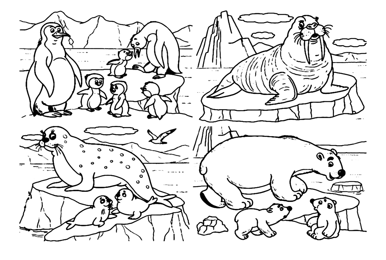 Walrus With Other Mammals Coloring Page - Free Printable Coloring Pages