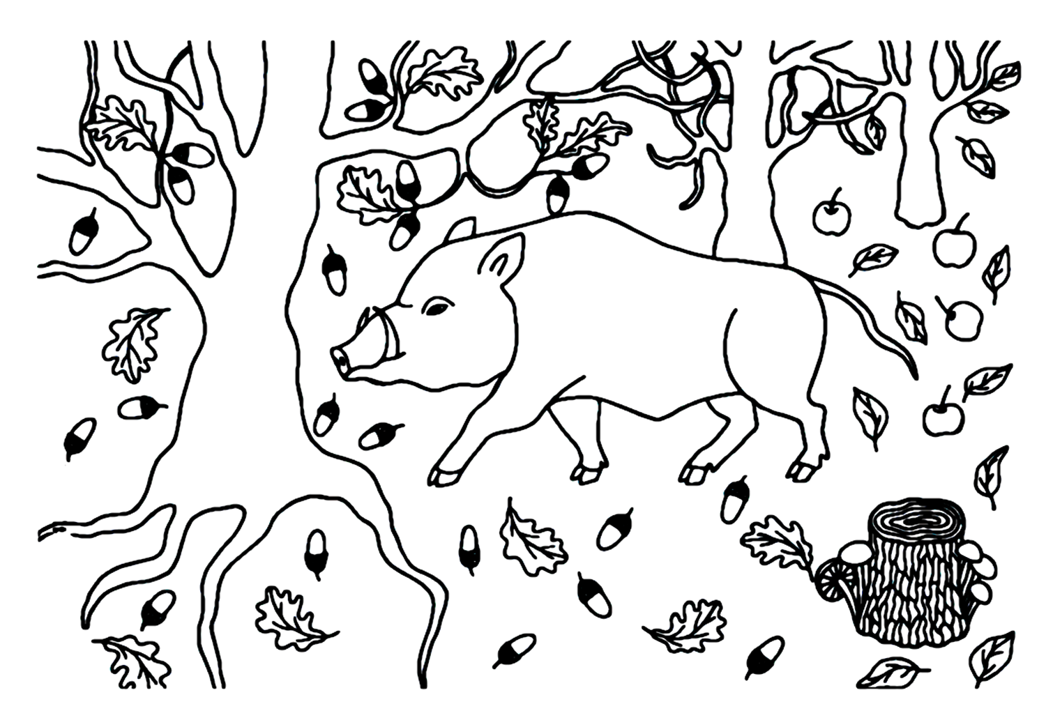 الخنزير البري في غابة التفاح والجوزة من الخنزير