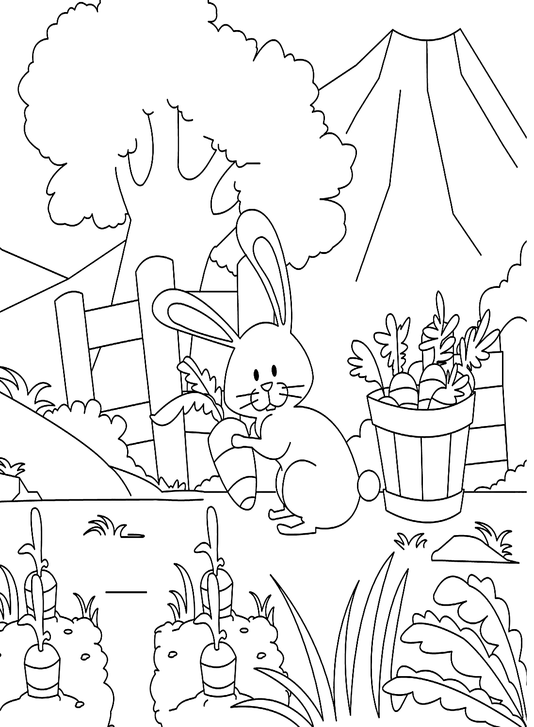 A carrot garden page