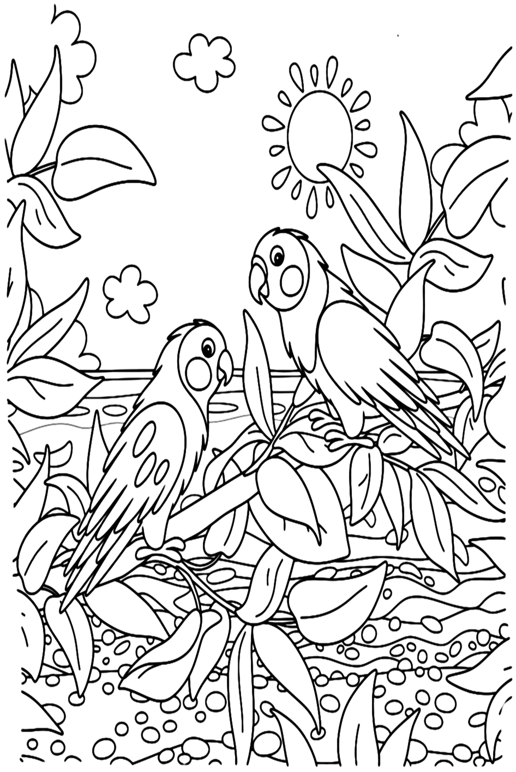Divertida página para colorear de periquito de Parakeet