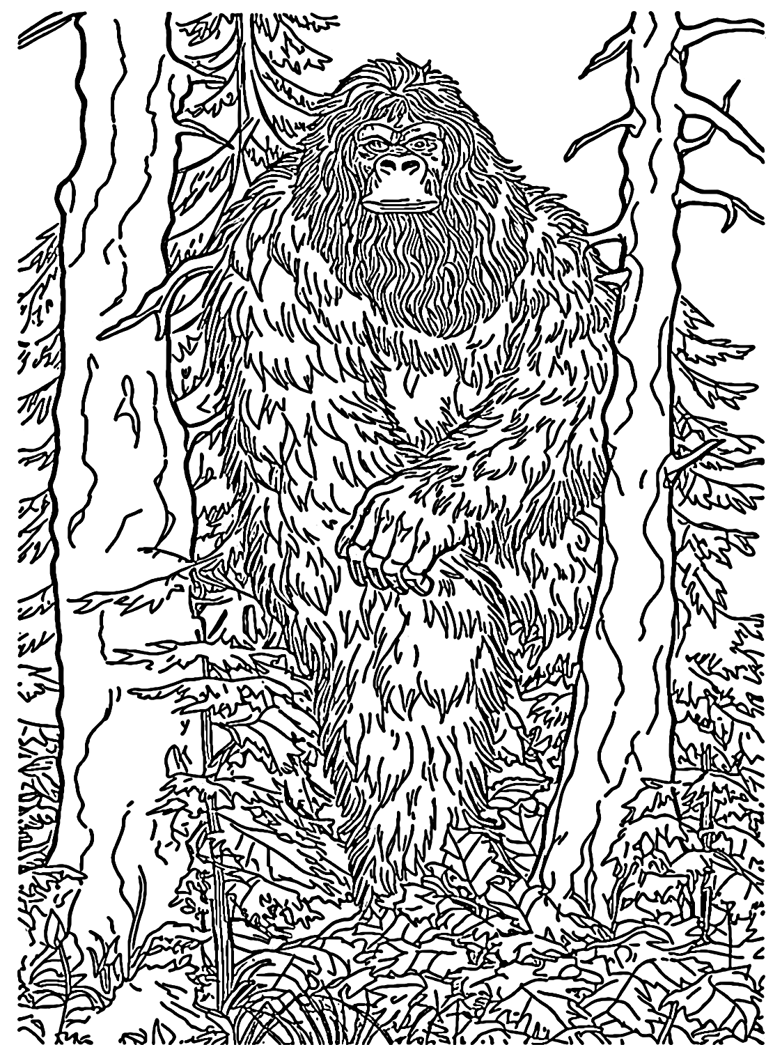Bigfoot zum Ausmalen von Bigfoot