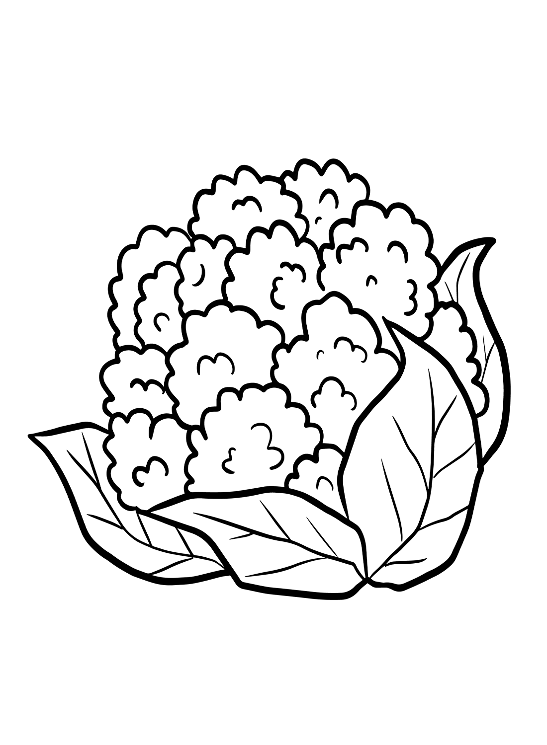 Coloriage de chou-fleur de chou-fleur