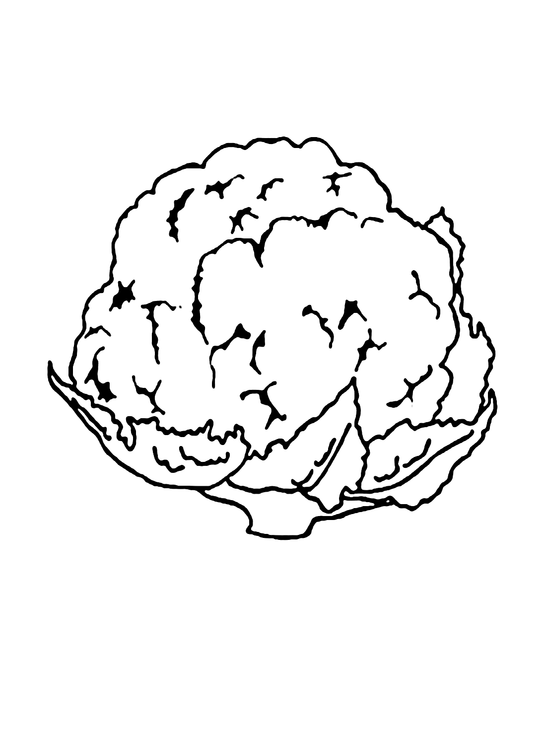 Cauliflower Coloring Pages Free from Cauliflower