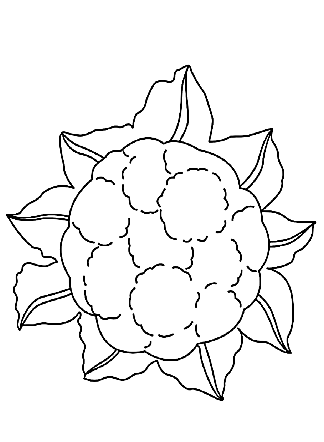 Páginas para colorir de couve-flor PDF de Couve-flor